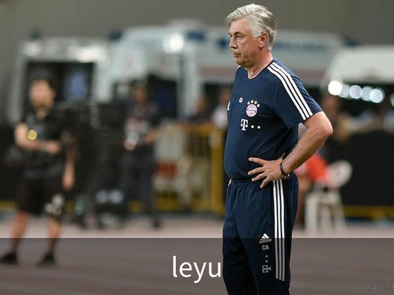关于leyu